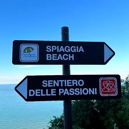 Il Mare In Collina - Le Ortensie Di Liliana Fiorenzuola di Focara