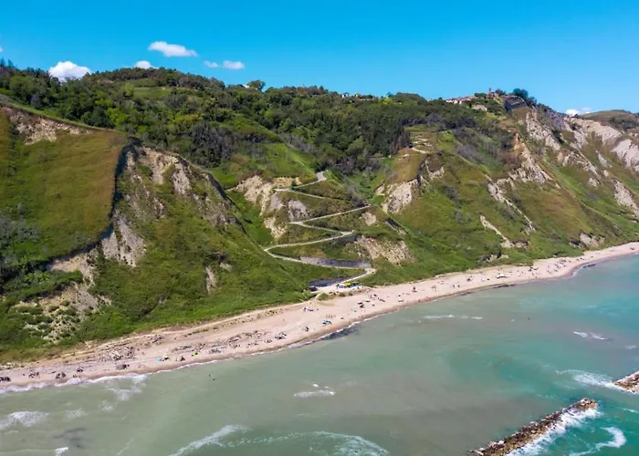Il Mare In Collina - Le Ortensie Di Liliana Fiorenzuola di Focara